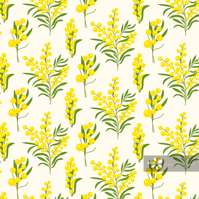 手绘平面设计的含羞草图片素材