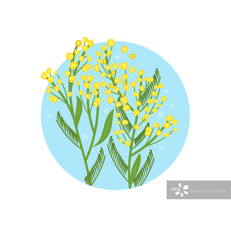 手绘平面设计的含羞草图片素材