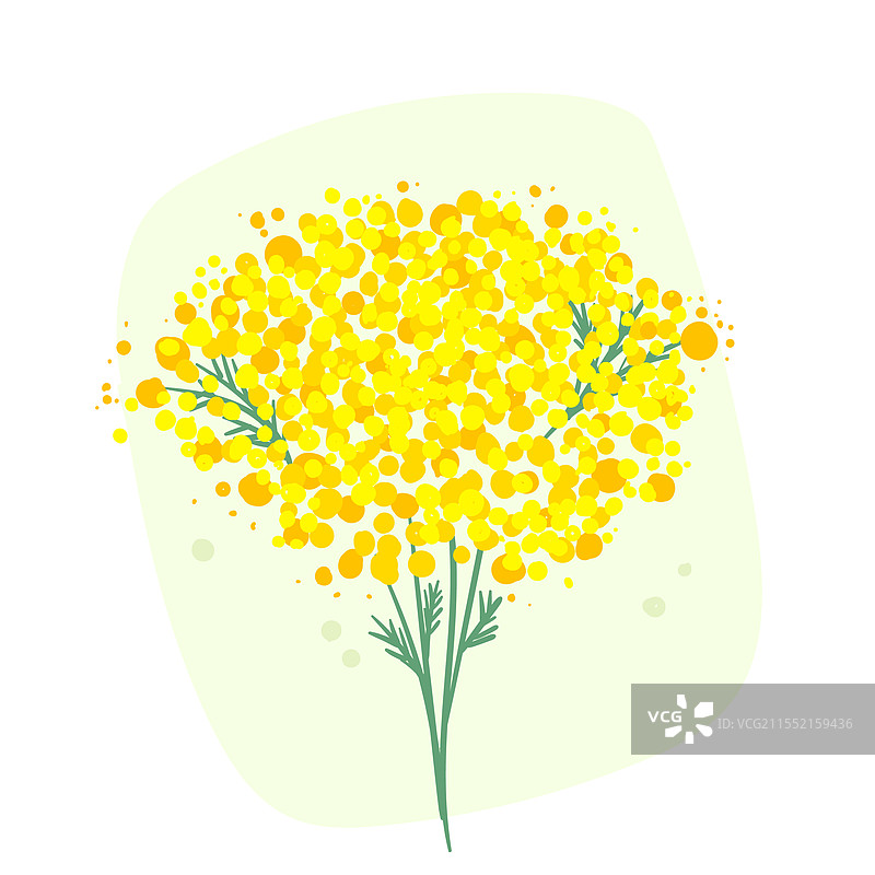 手绘的含羞草图片素材