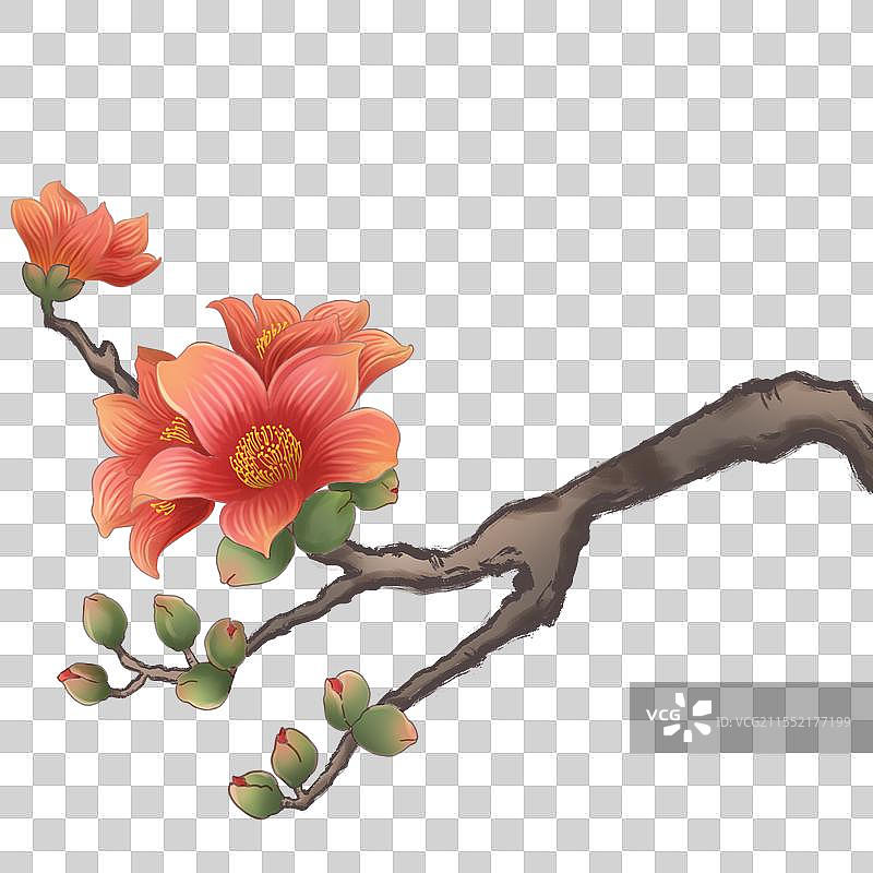 木棉花开了图片素材