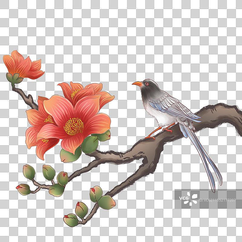 木棉花开，鸟语花香图片素材