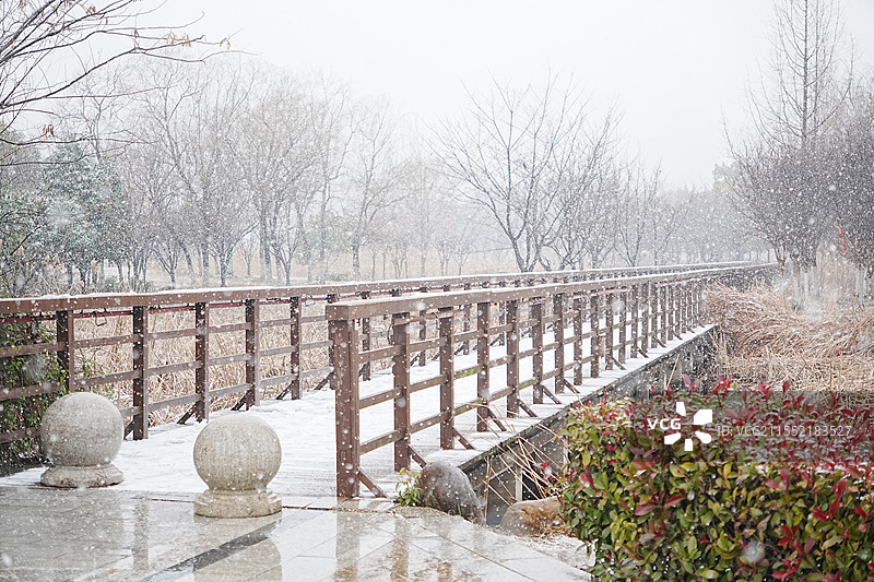 城市公园里的冬季雪景风光图片素材