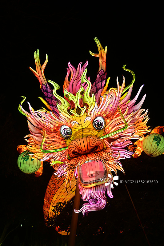 南京 白鹭洲公园 秦淮灯会 “龙头”图片素材