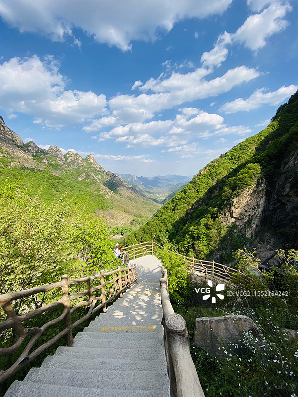 石家庄漫山花溪谷图片素材