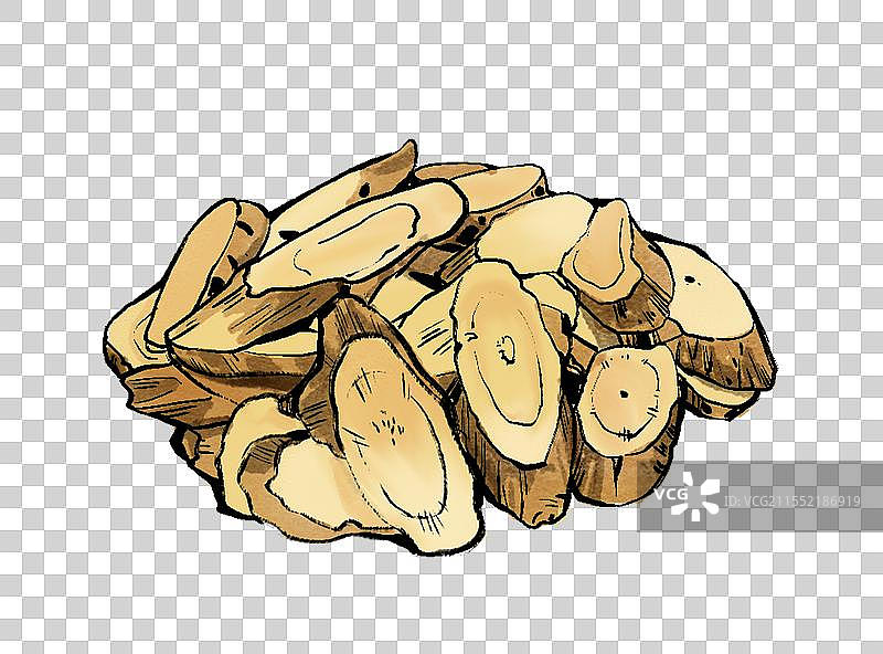 中药黄芪手绘元素图片素材