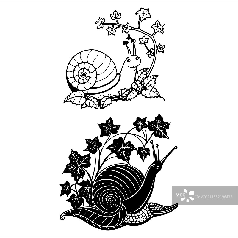 蜗牛滑行图片素材
