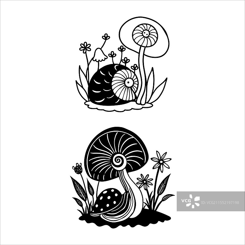 蘑菇上的蜗牛图片素材