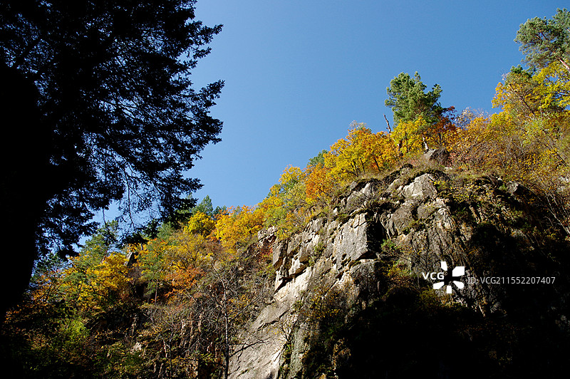 伊春茅兰沟国家森林公园图片素材