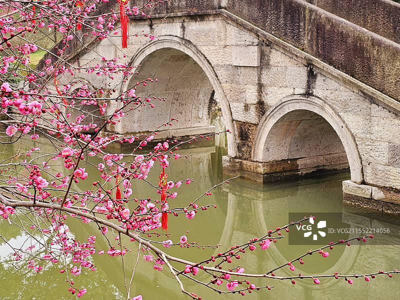 超山观梅之梅花衬桥洞图片素材