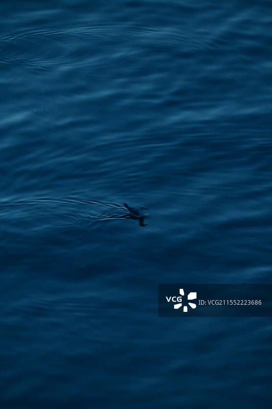 黎明海面图片素材