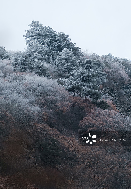 雪中的蒲溪图片素材