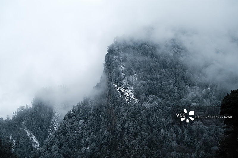 雪中的蒲溪图片素材