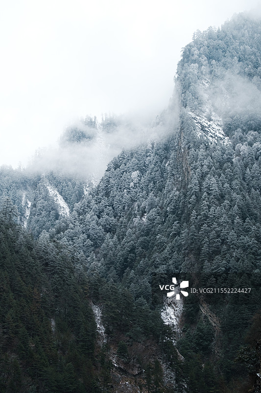 雪中的蒲溪图片素材