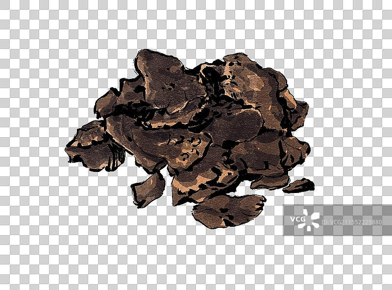 中药熟地黄手绘元素图片素材