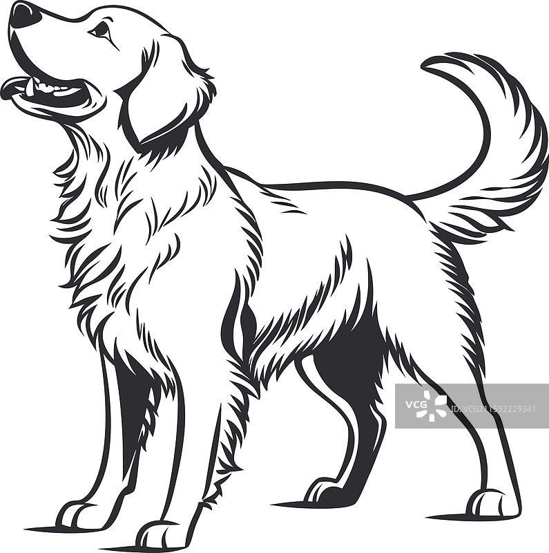 狗的轮廓设计 2图片素材