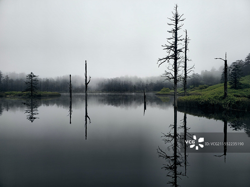 鸳鸯池，倒影如镜则为鸳鸯图片素材