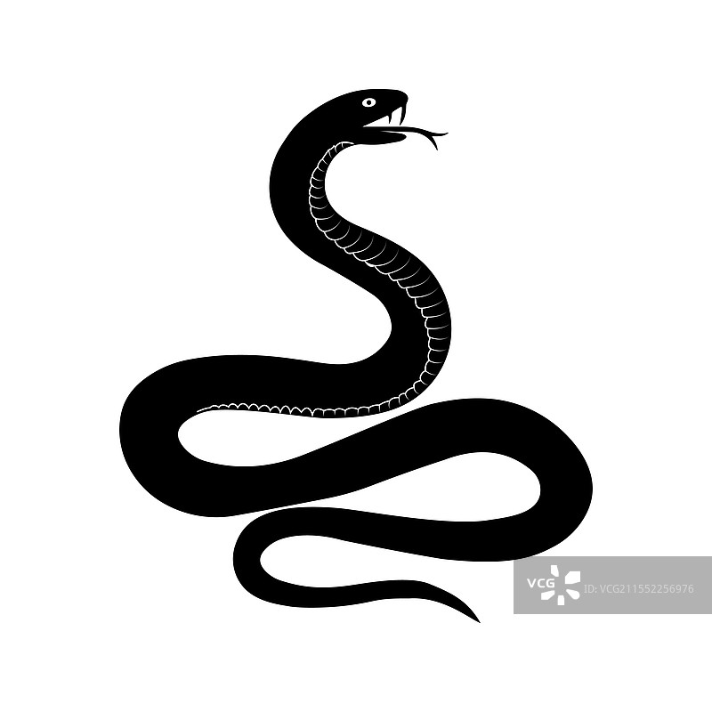 眼镜蛇蛇类 2图片素材