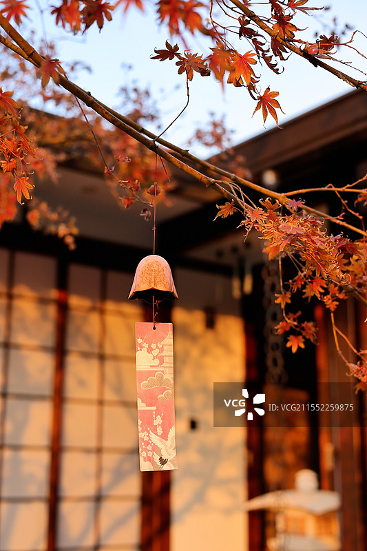 风铃与红枫图片素材