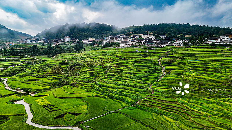 高要梯田。贵阳。夏季图片素材