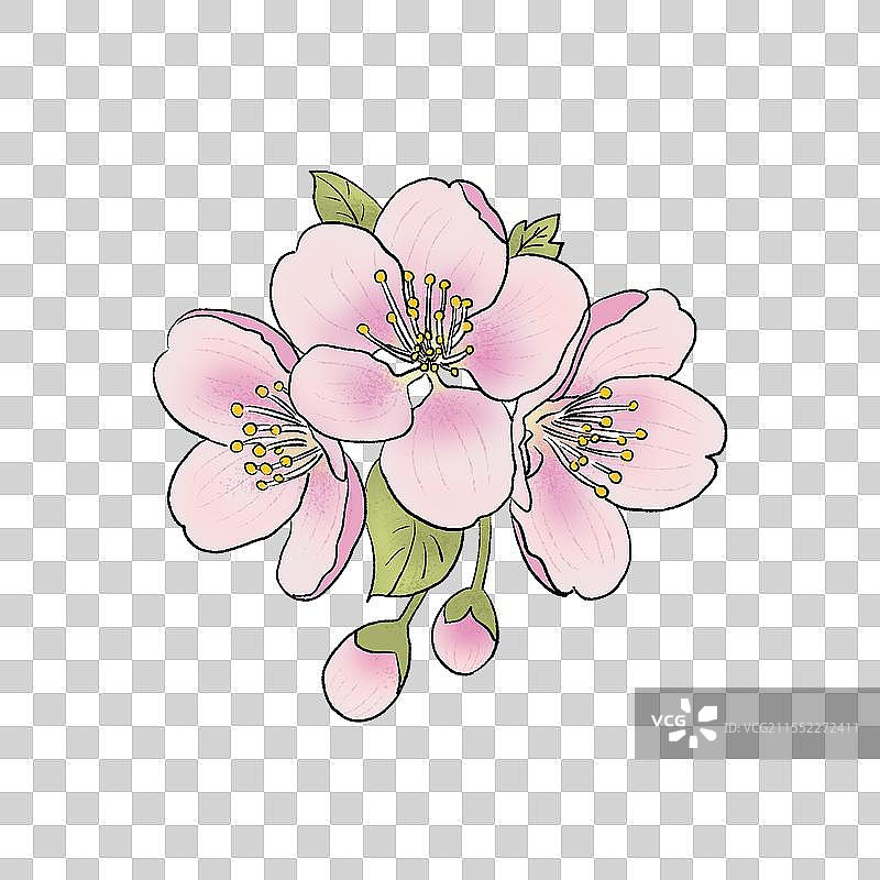 桃花春花一簇花朵图片素材
