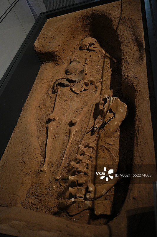 奴隶四级墓葬，二里头夏都遗址博物馆图片素材