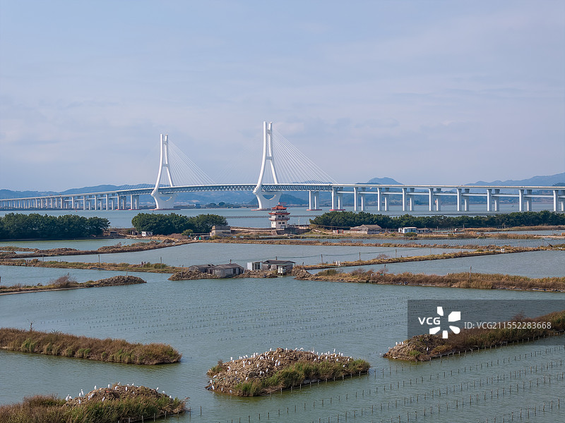 牛田洋大桥图片素材