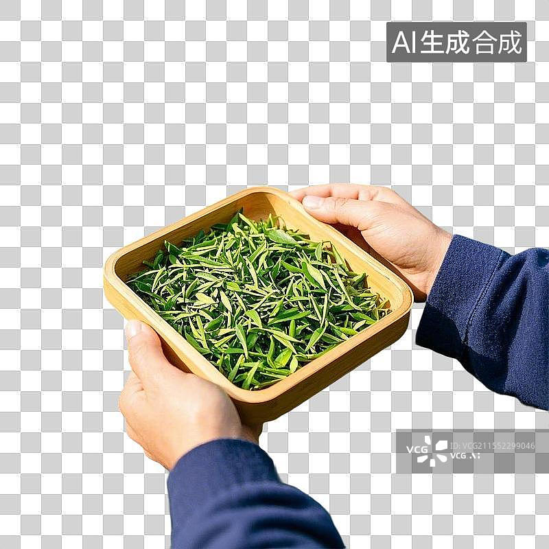 【AI数字艺术】手托茶叶盘图片素材