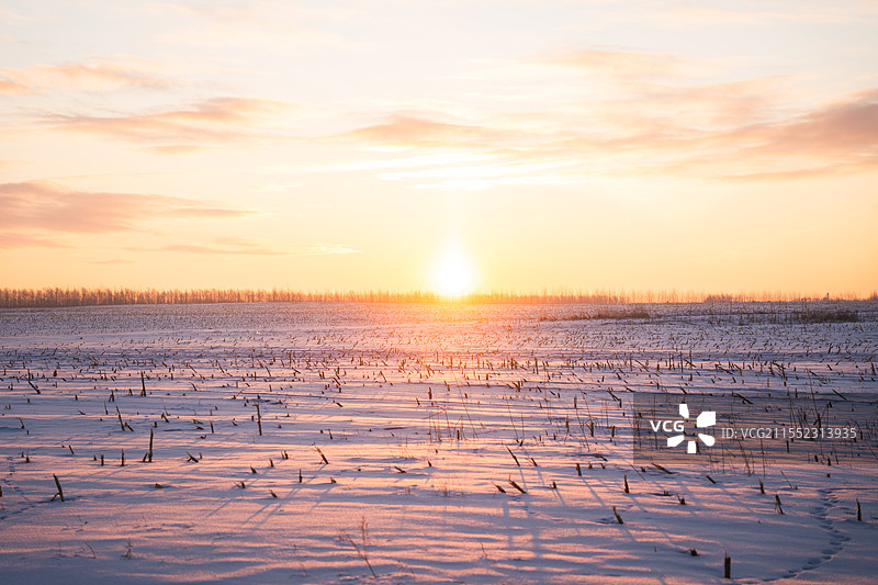 东北 东北平原 雪地 日出 日落 树林 田地图片素材