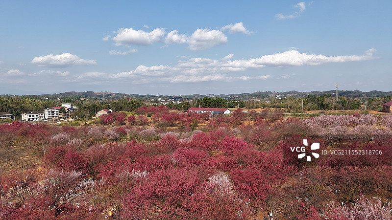 柳暗花明又一村图片素材