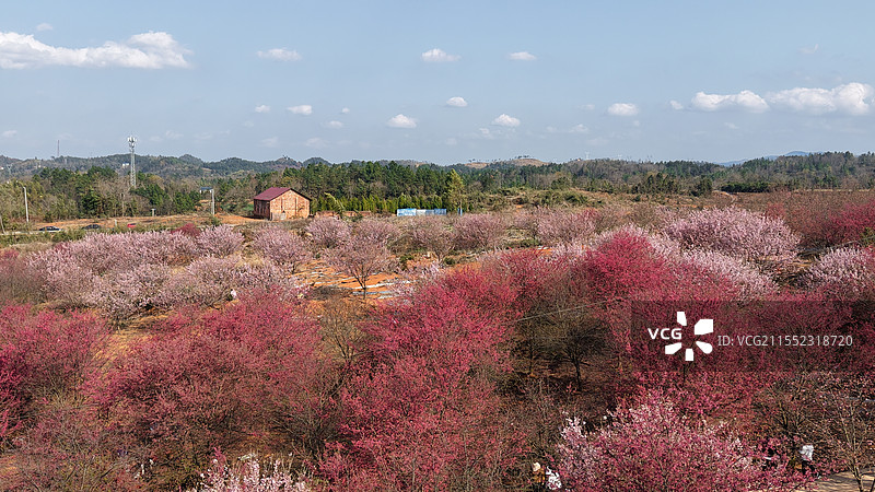 柳暗花明又一村图片素材