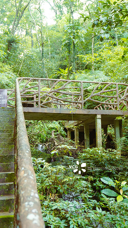 海南陵水吊罗山国家森林公园森林步道图片素材
