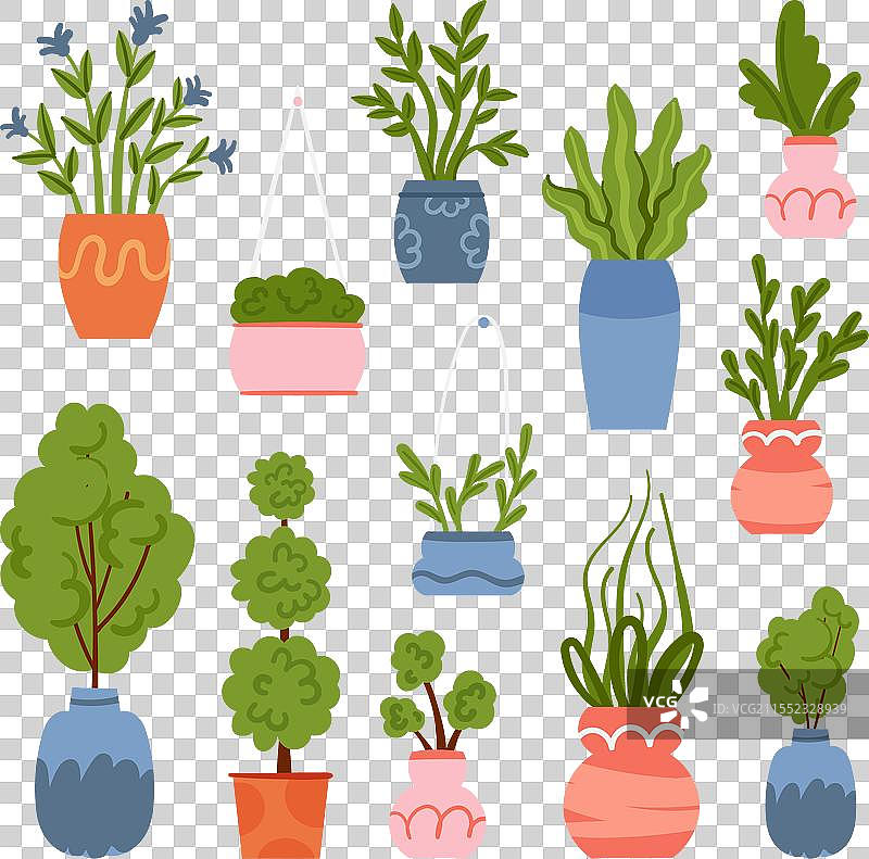 一组不同的盆栽植物和树木图片素材