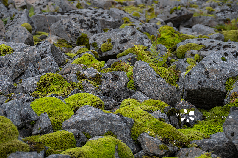 阴雨天的罗弗敦群岛图片素材