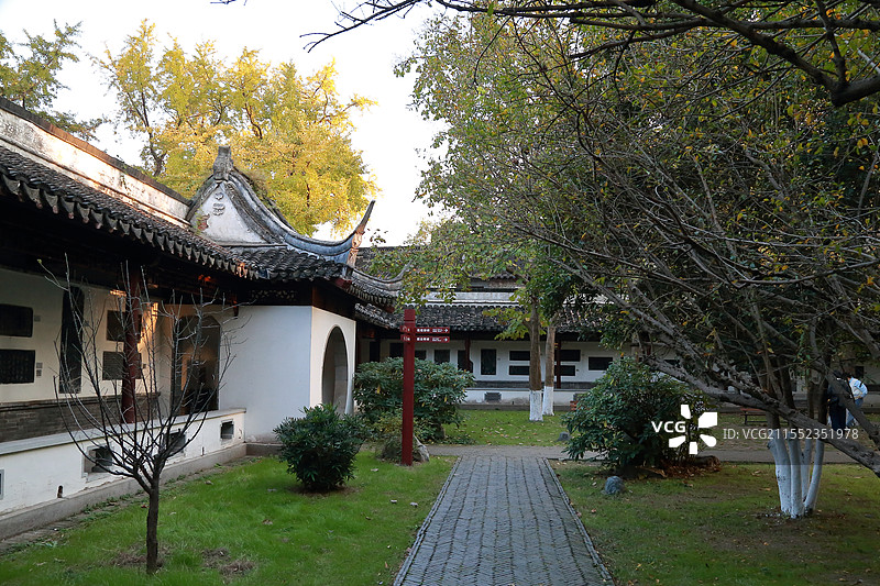 镇江焦山碑林冬季风景（银杏）图片素材