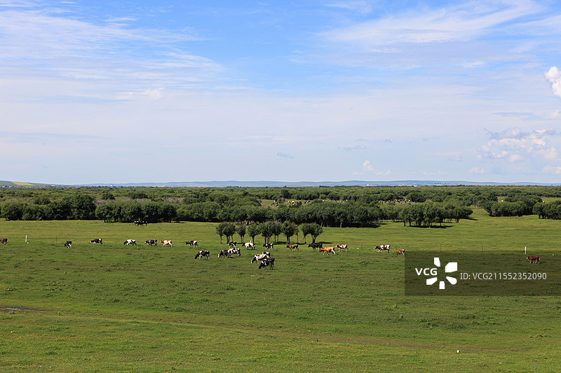 草原牧野图片素材
