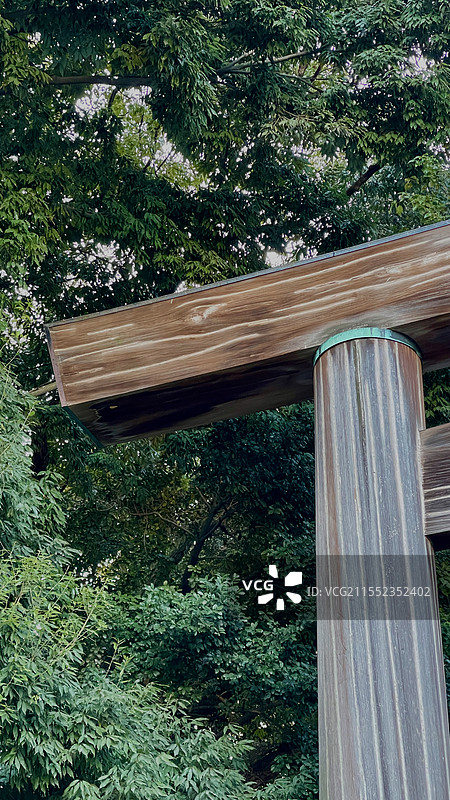 热田神宫鸟居与表参道图片素材