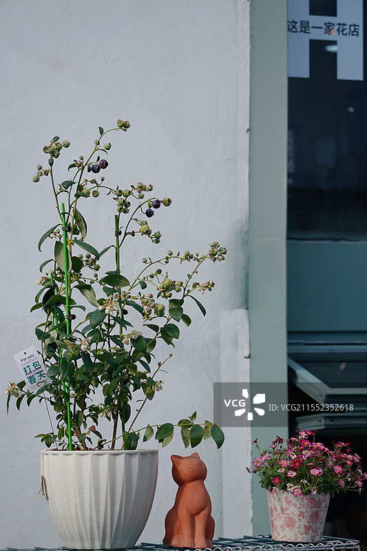 花店门口图片素材