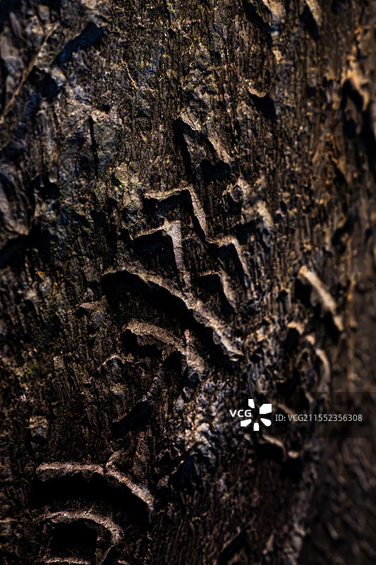 刻在石头上的字图片素材