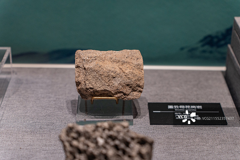 四川成都自然博物馆藏黑云母花岗岩图片素材