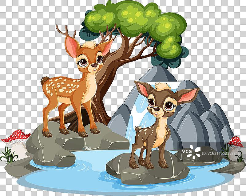 两只可爱的鹿仔在小瀑布附近图片素材