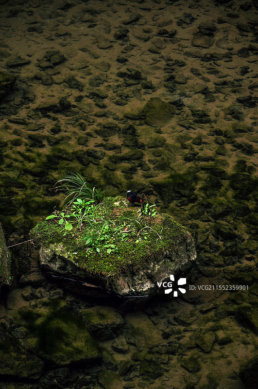 重庆·阿依河图片素材