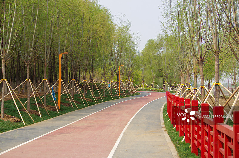 沈阳沈北蒲河生态廊道，春季植树绿化，城市自然风光，旅游景观，种树植树图片素材