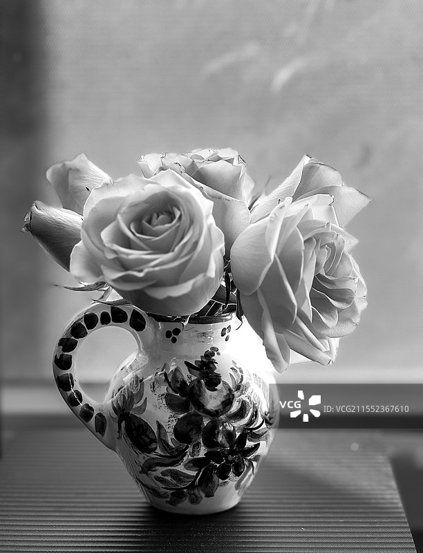 春之花图片素材