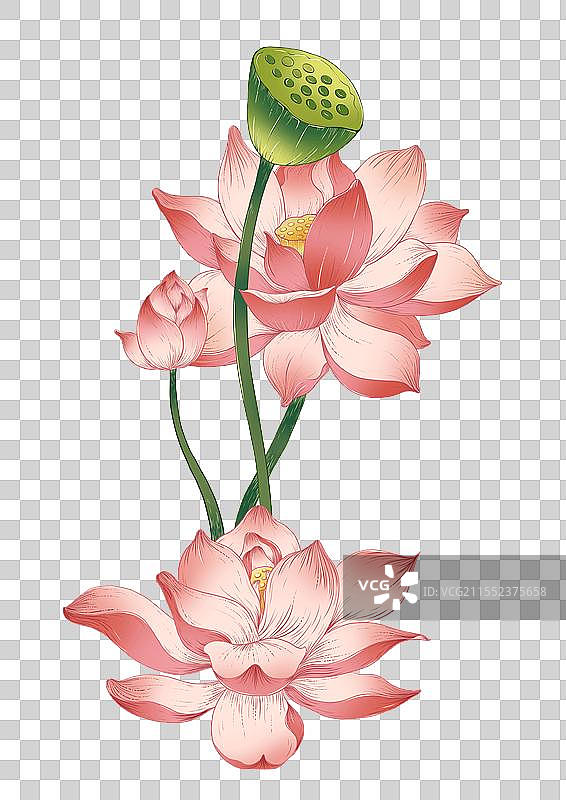 国风荷花元素图片素材