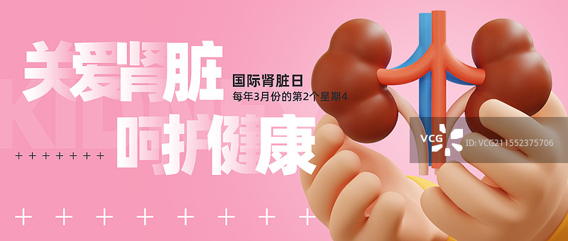 国际肾脏日商业海报公众号封面设计模板图片素材