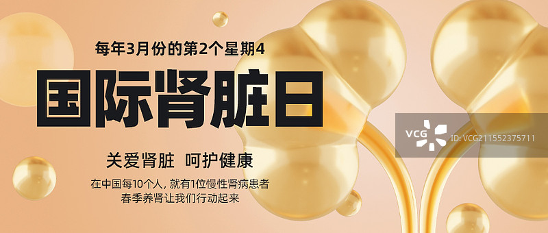 国际肾脏日商业海报公众号封面设计模板图片素材