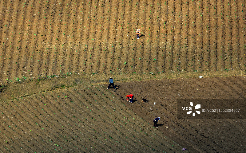 丰都太平坝田野图片素材