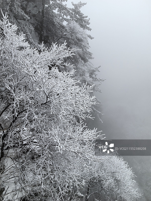 老君山雾凇雪景图片素材