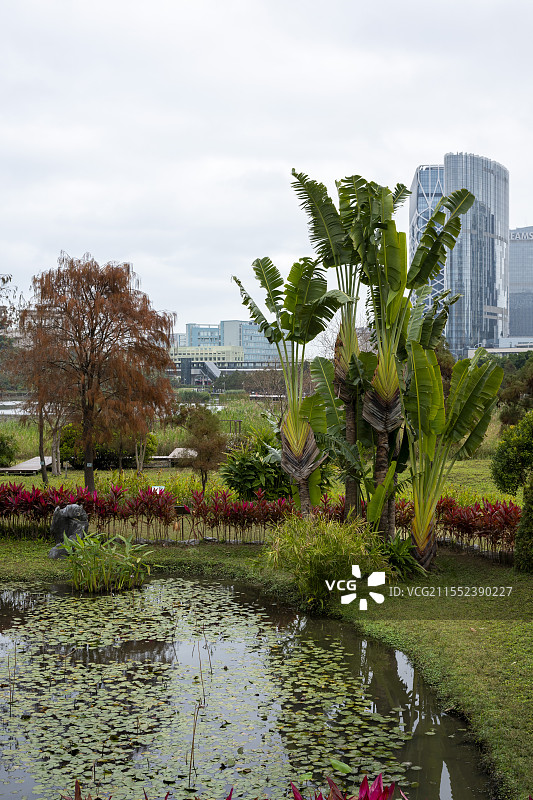澳门威尼斯人北边的小公园图片素材