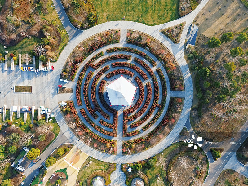 上海奉贤新城，上海之鱼景区，茶花迷宫图片素材